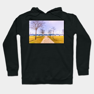 rio Hoodie